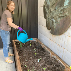 student watering a garden bed with small plants